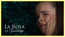 Su comportamiento es increíble