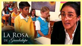 Cómo reacciona el profesor