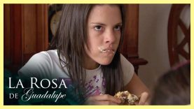 Cómo se comporta con los alimentos