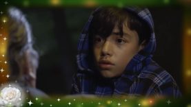 El niño quería defender a su madre