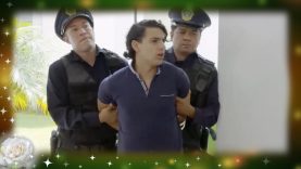 Título: Llegar a casa