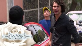 Título: Momento de la declaración