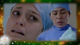 Título: No puede ser verdad