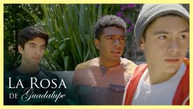 Título: Pobre tipo, se han llevado a su perro