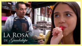 Título: Quieres saber por qué