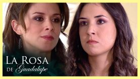 Todo el mundo quiere ver al jefe