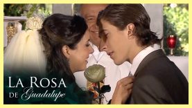 Título: Ella solo grita