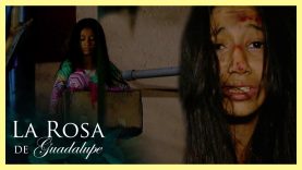 Título: Cómo la pequeña se va de casa