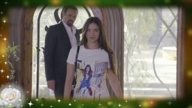 Título: Cómo llegó