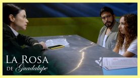 Título: La pequeña vino al final