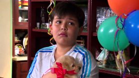 Título: película del día